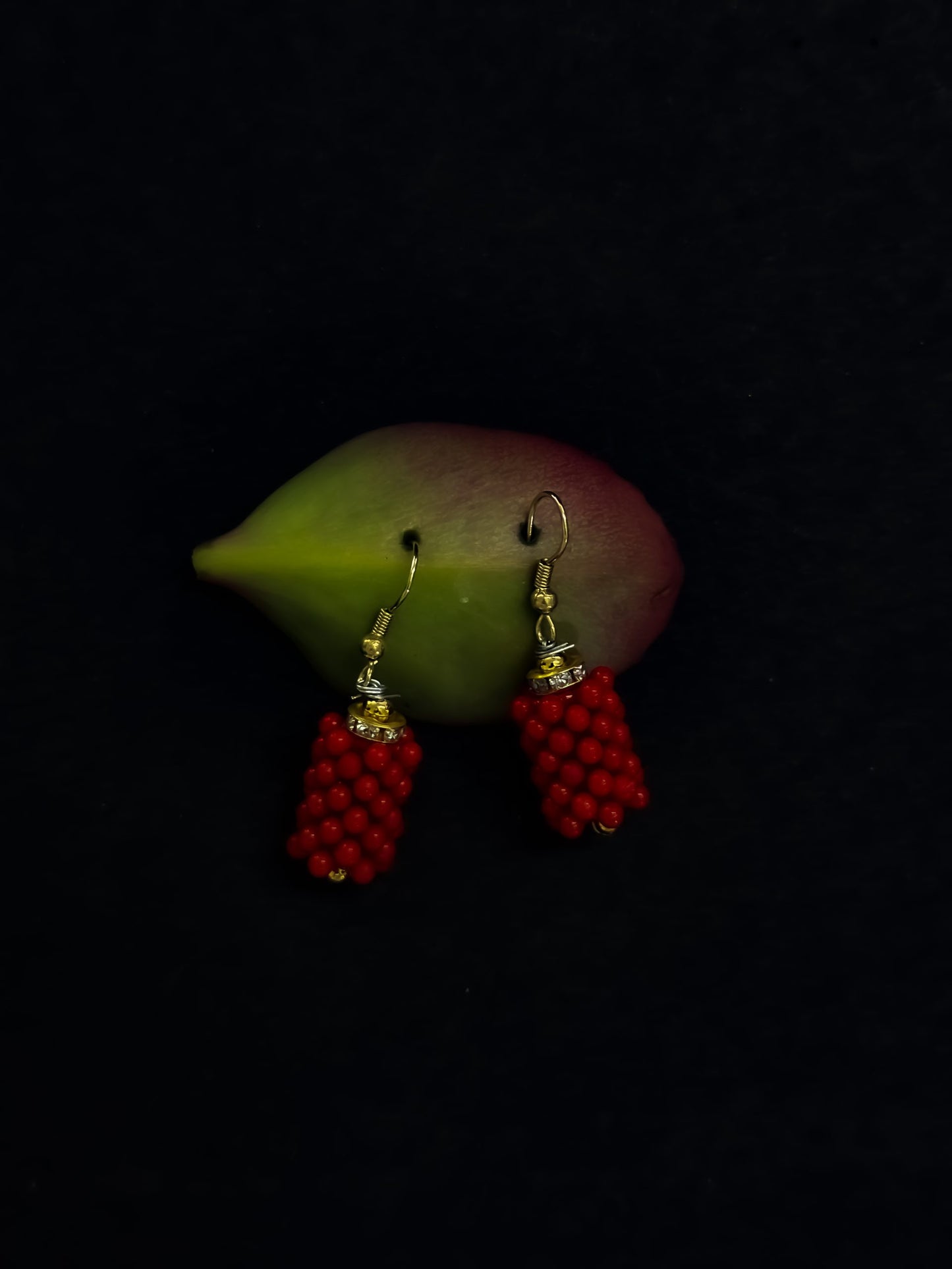 Beaded earrings