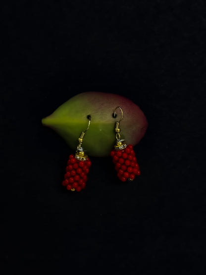 Beaded earrings